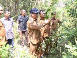 Muslem Yakob Masuk Hutan Telusuri Aset Milik Dinas Sosial Aceh Di Lhokng